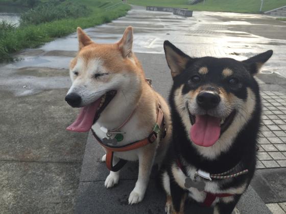 統一超商計時工讀生（夜班）～～尋找有緣的你❤️