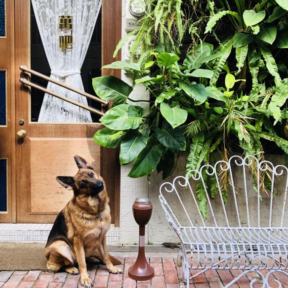 萬吧/萬鍋燒假日計時夥伴