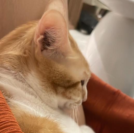 吾曹 徵 平日、假日晚班、假日早班工讀