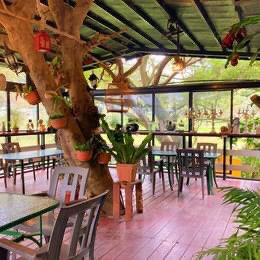 假日（六、日）、國定假日餐廳服務人員