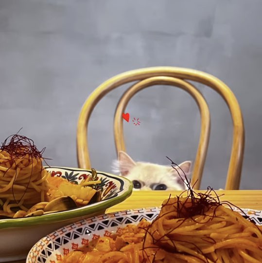 誠徵可排班外場平、假日工讀生