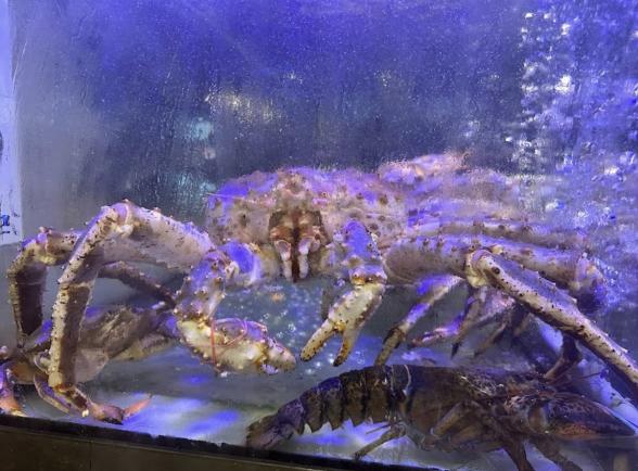 小海水產火鍋店 外場人員