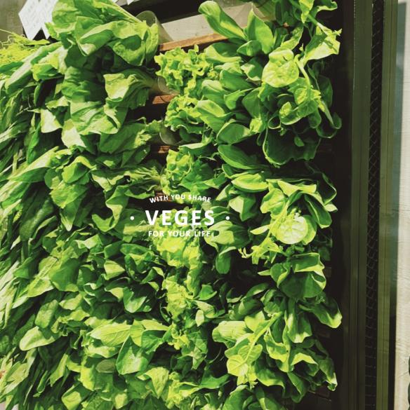 早班🥬VegesM饗蔬職人🏡中友店計時人員