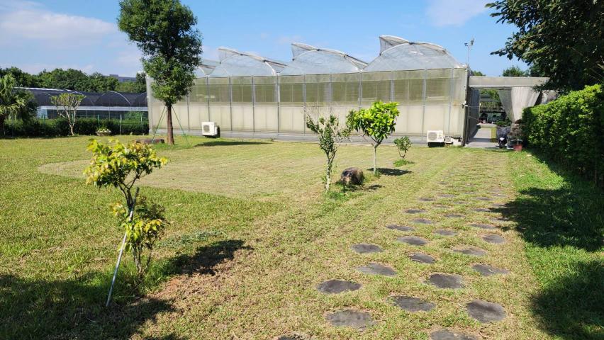 協助人員(臨時工)