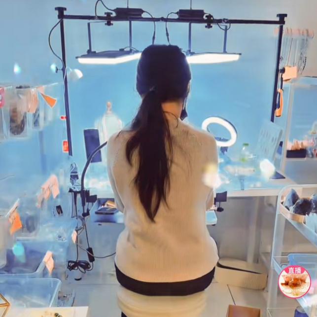 直 播水晶銷售主播（一中早班）