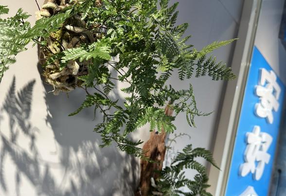 早午餐店工讀生