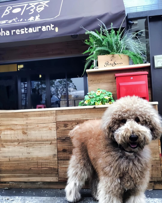 平假日工讀~算分薪、每月加薪制