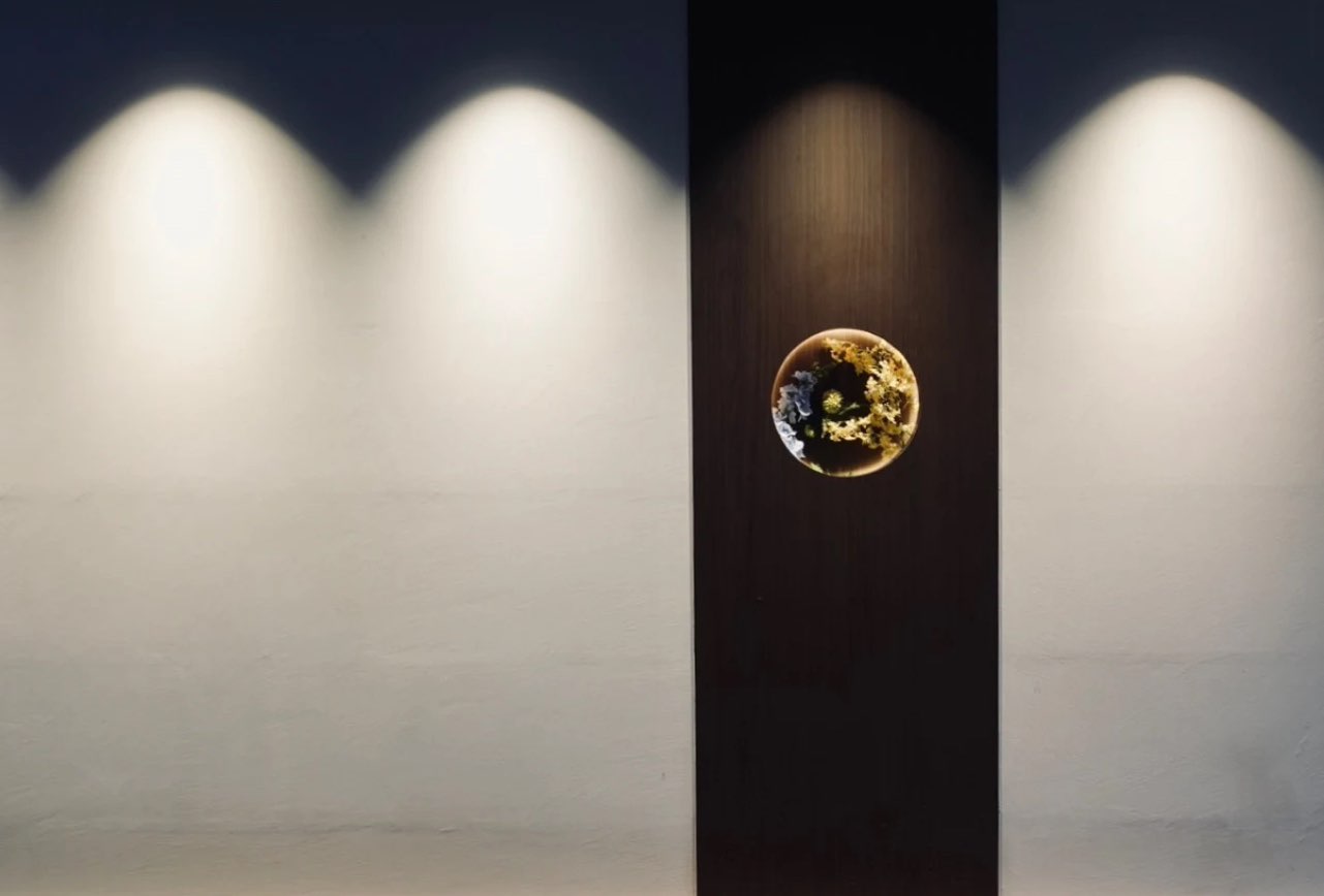 吉田割烹/日本料理/無菜單/高級料理