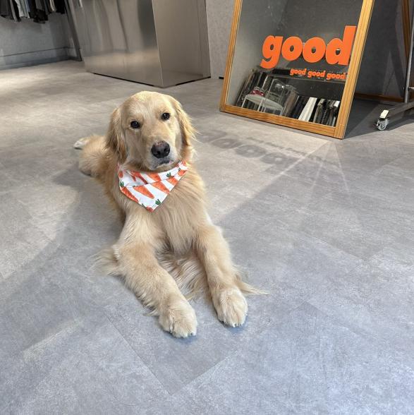 週末工讀生 （美式潮流服飾店）