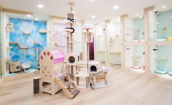 寵物精品旅館門市大夜班人員