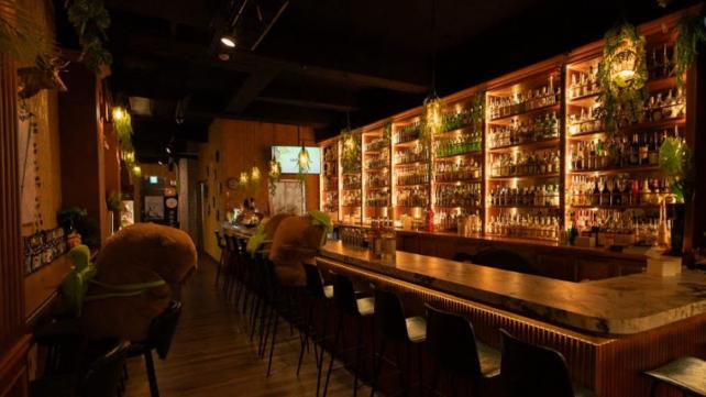 酒吧❤️公關❤️