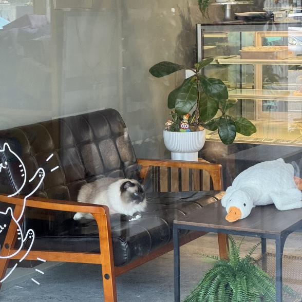 假日咖啡早午餐兼職｜工讀生