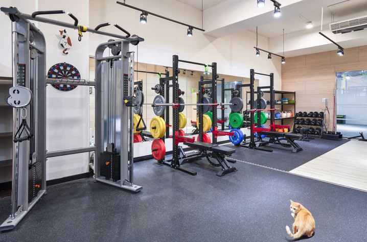 📣安坑健身房 ✨誠徵櫃檯行政幫手💖