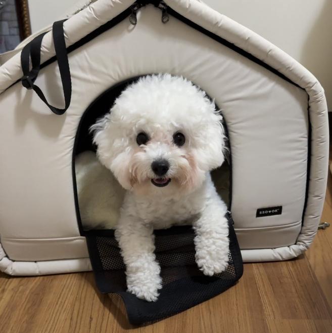 韓國服飾網拍上鏡頭+後勤