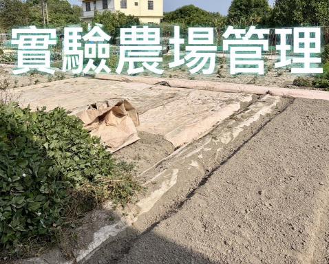 農場臨時搬運人員