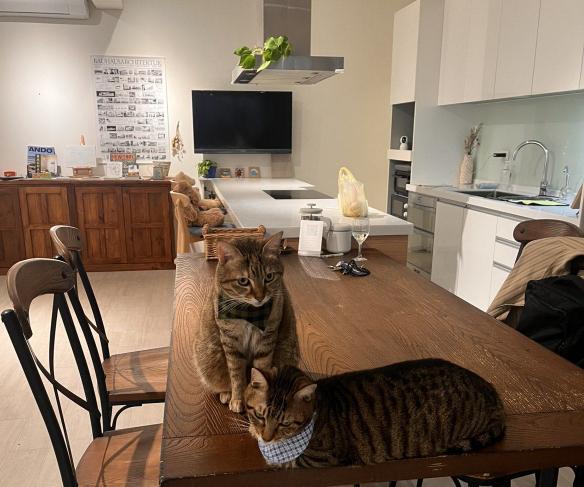 空間清潔佈置（排班工讀生）