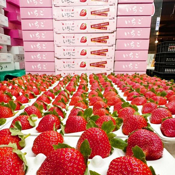 徵禮盒專櫃固定長短期計時人員