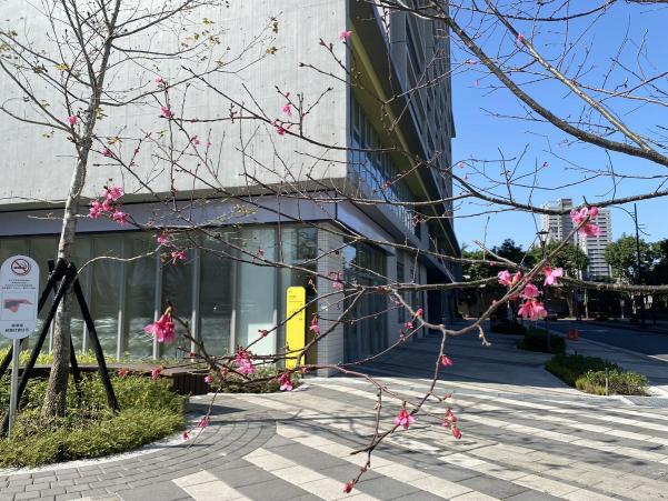 國小課後作業指導