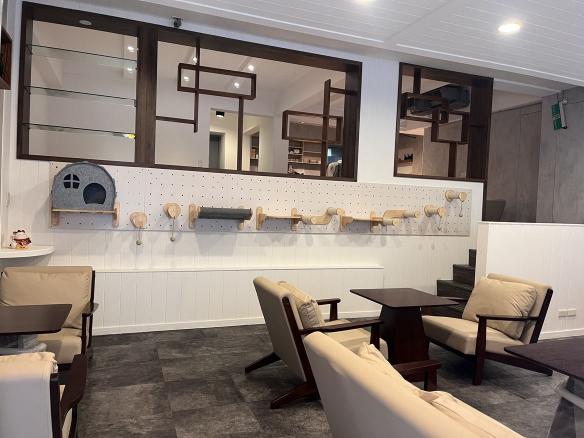 內、外場服務生