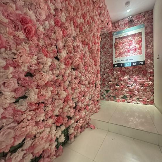 「按」招募｜日領「摩」