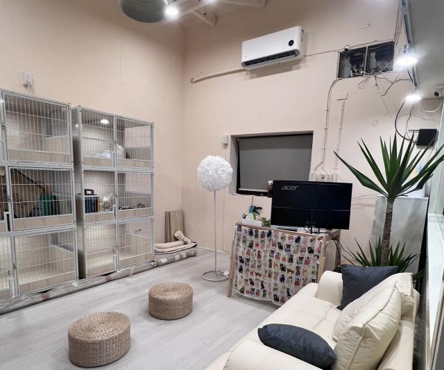 📍台中貓咪寵物店找【清潔】 長期～