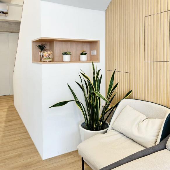 新竹竹北牙科助理轉正37000🦷