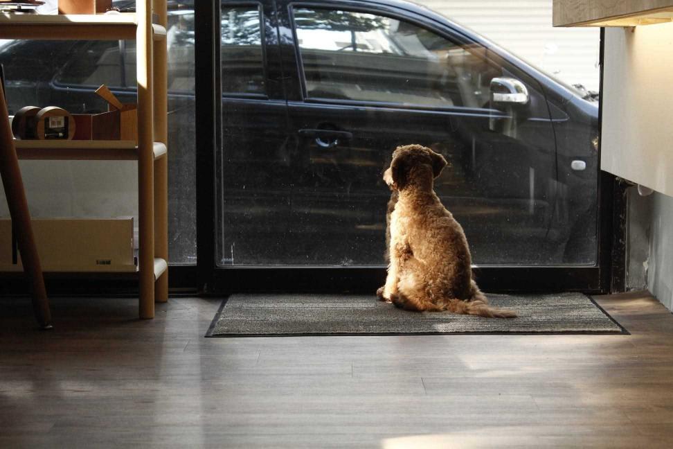 店員 / 設計助理 / 電商專員