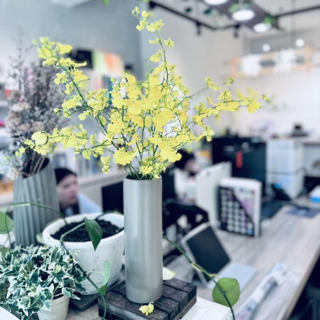 工作室營運助理（近林口三井）