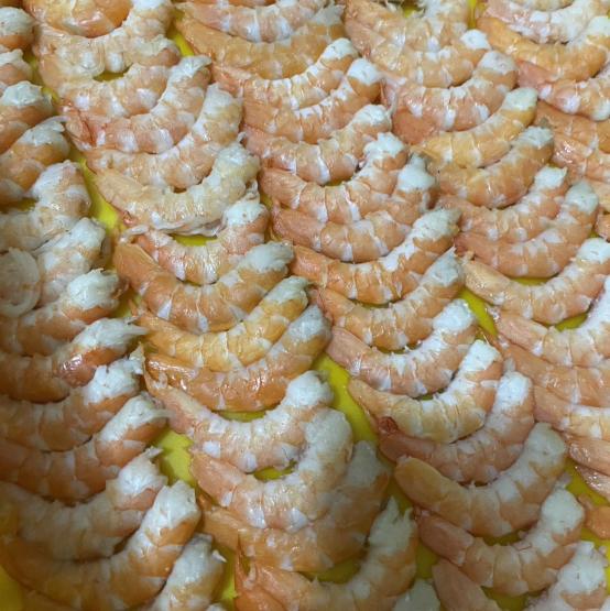 知名寵物零食工廠內場人員數名