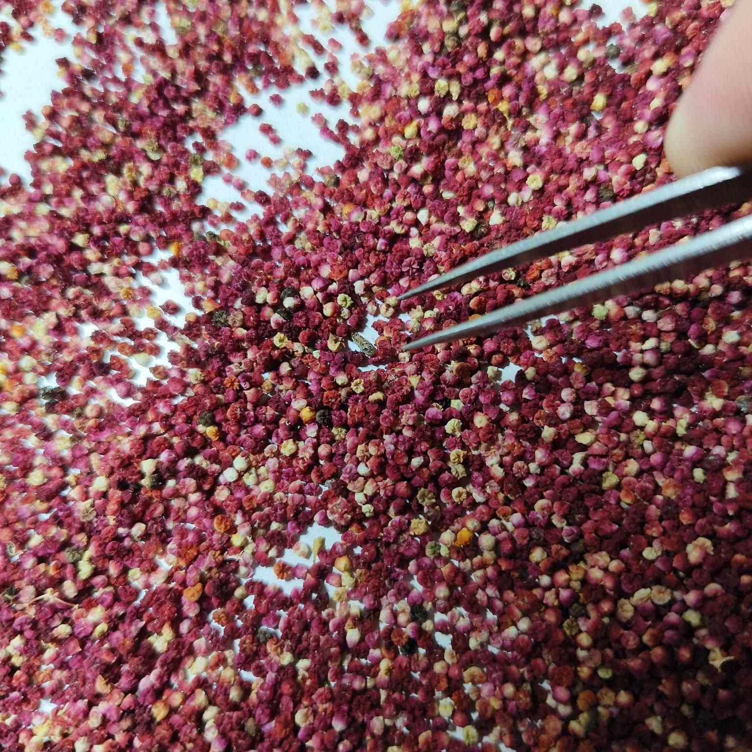 食品原料撿選理貨人員