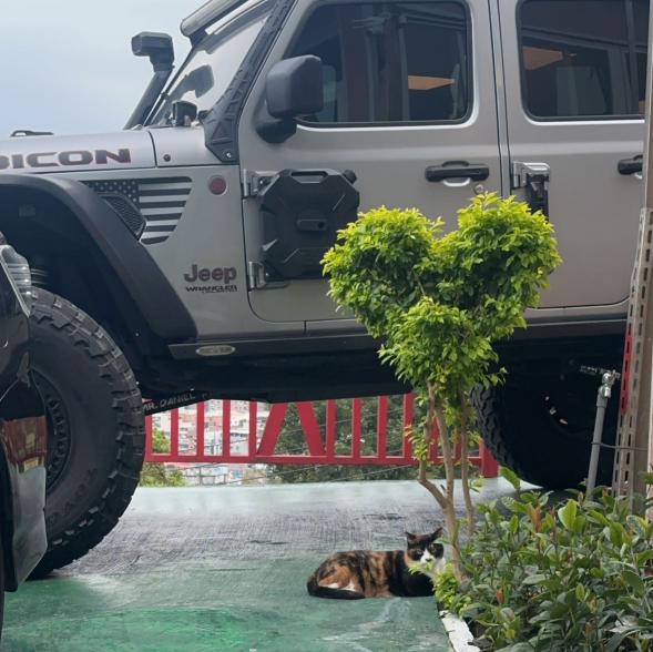 二手車銷售夥伴