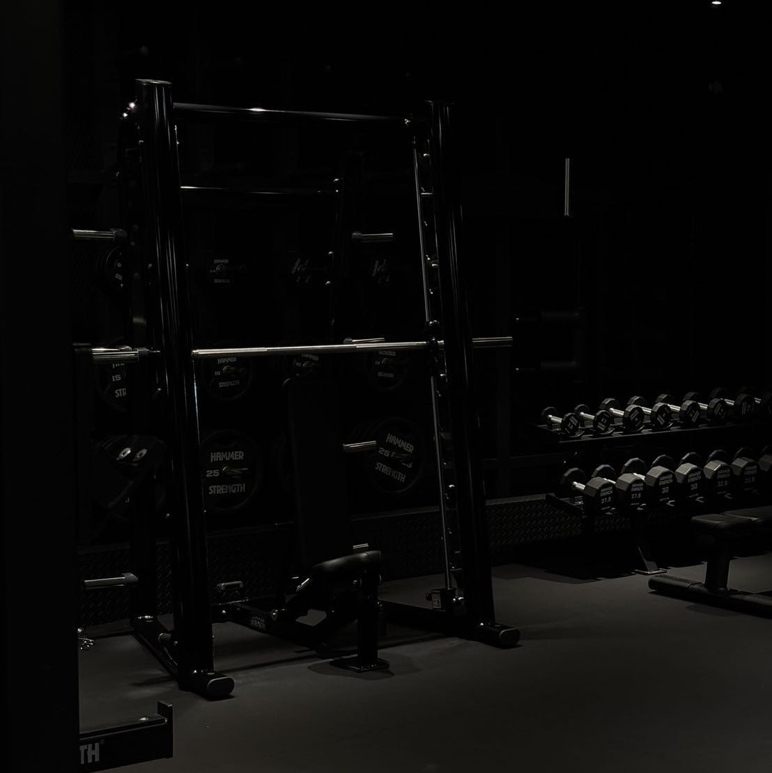 健身教練/健體顧問/營養諮詢