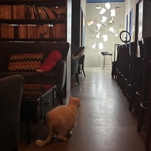 酒吧平日兼職調酒師