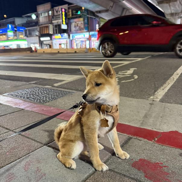 士林站寶飽煲內場應徵