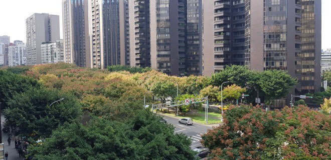 短影音助理主持人