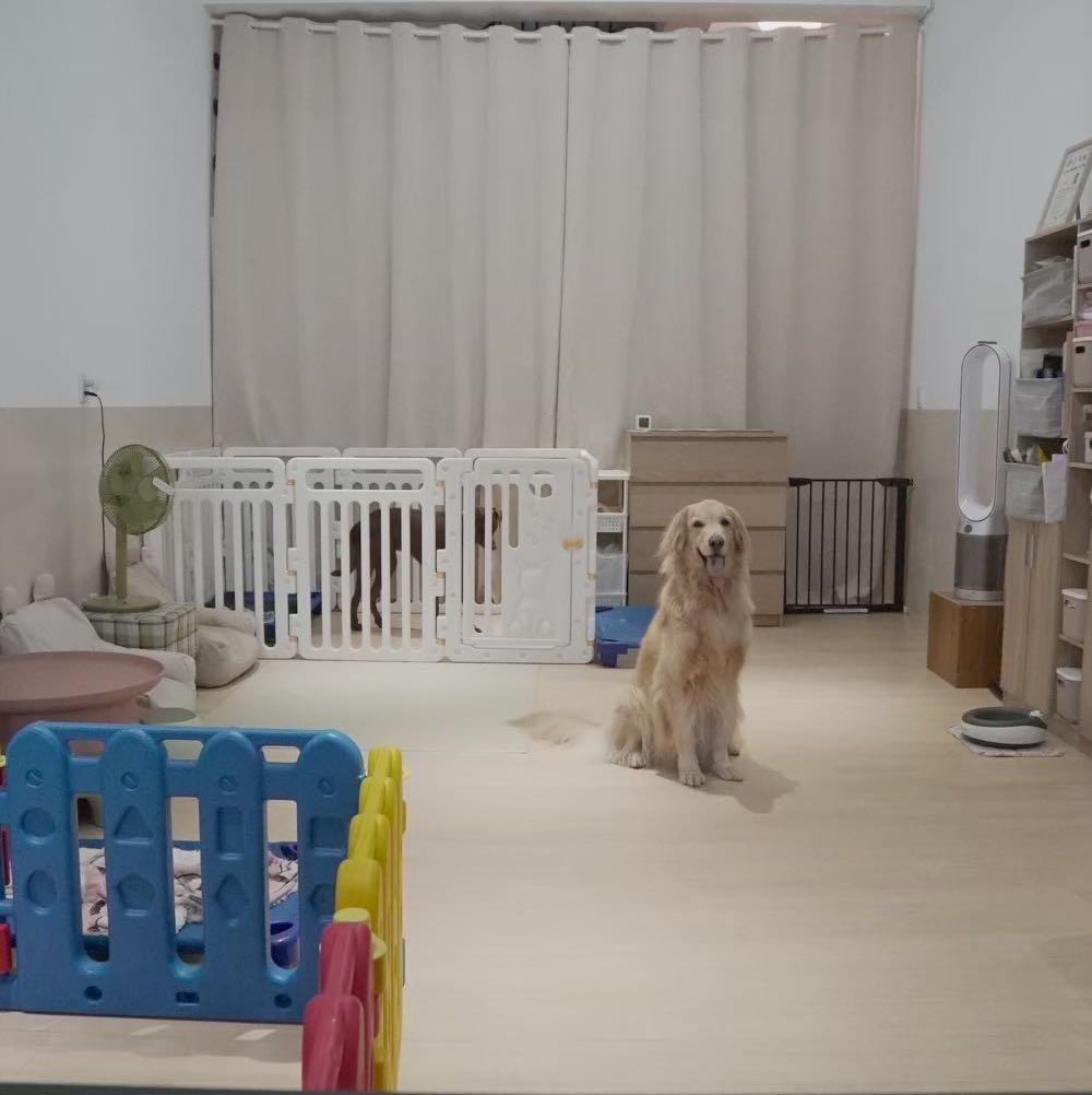 寵物保母兼寵物洗澡助理