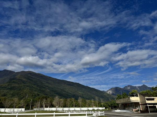 鳳林肉品市場豬隻屠宰技術人員