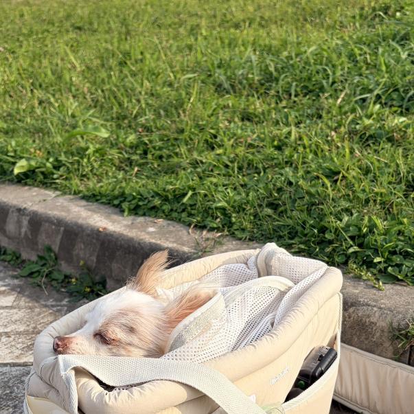 一樣 YEE YUNG 韓式 早班工讀