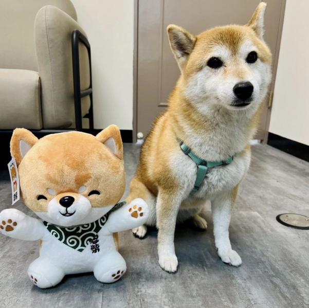 內勤行政兼職人員 PT