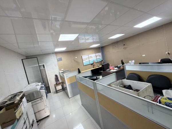 徵道路標線工程人員