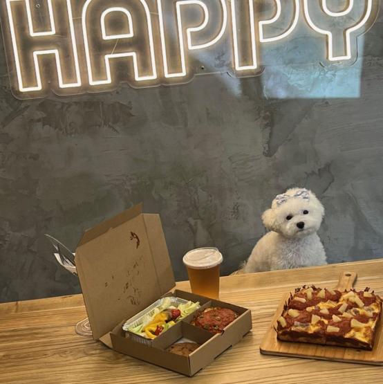 Pizza Bear 週末排班夥伴招募中～松山區