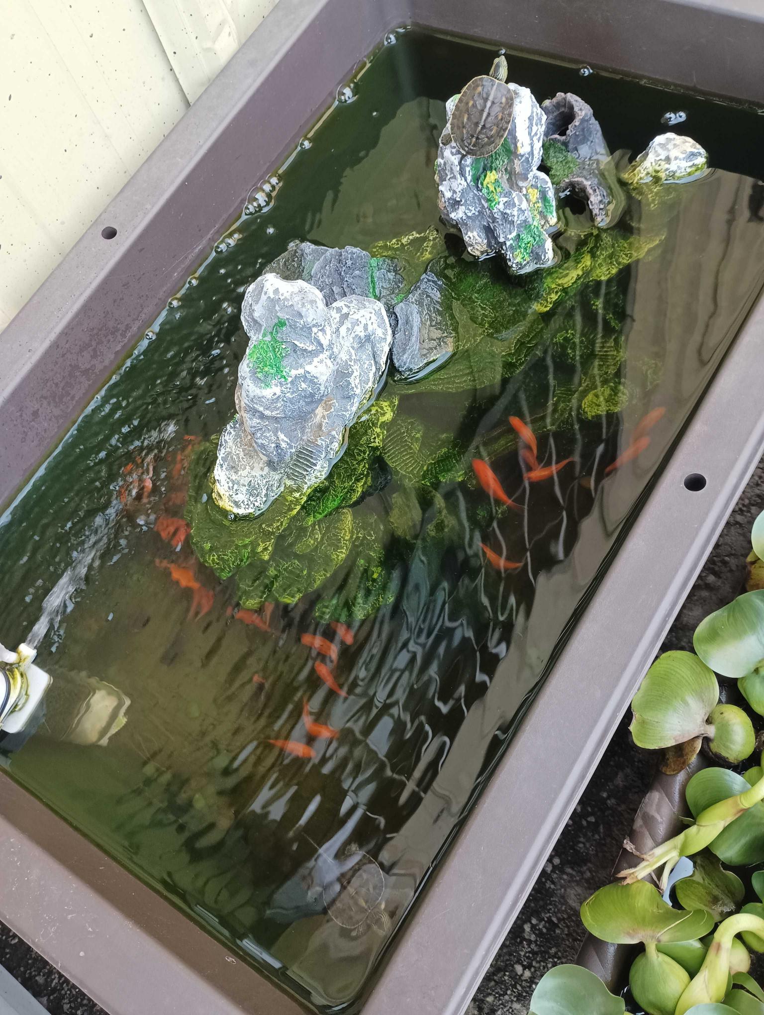 電商兼職 早班 PT