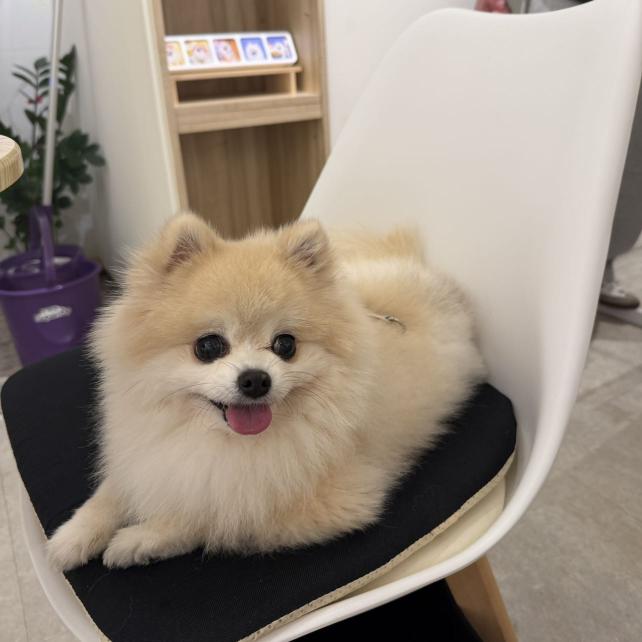 寵物咖啡廳工讀生