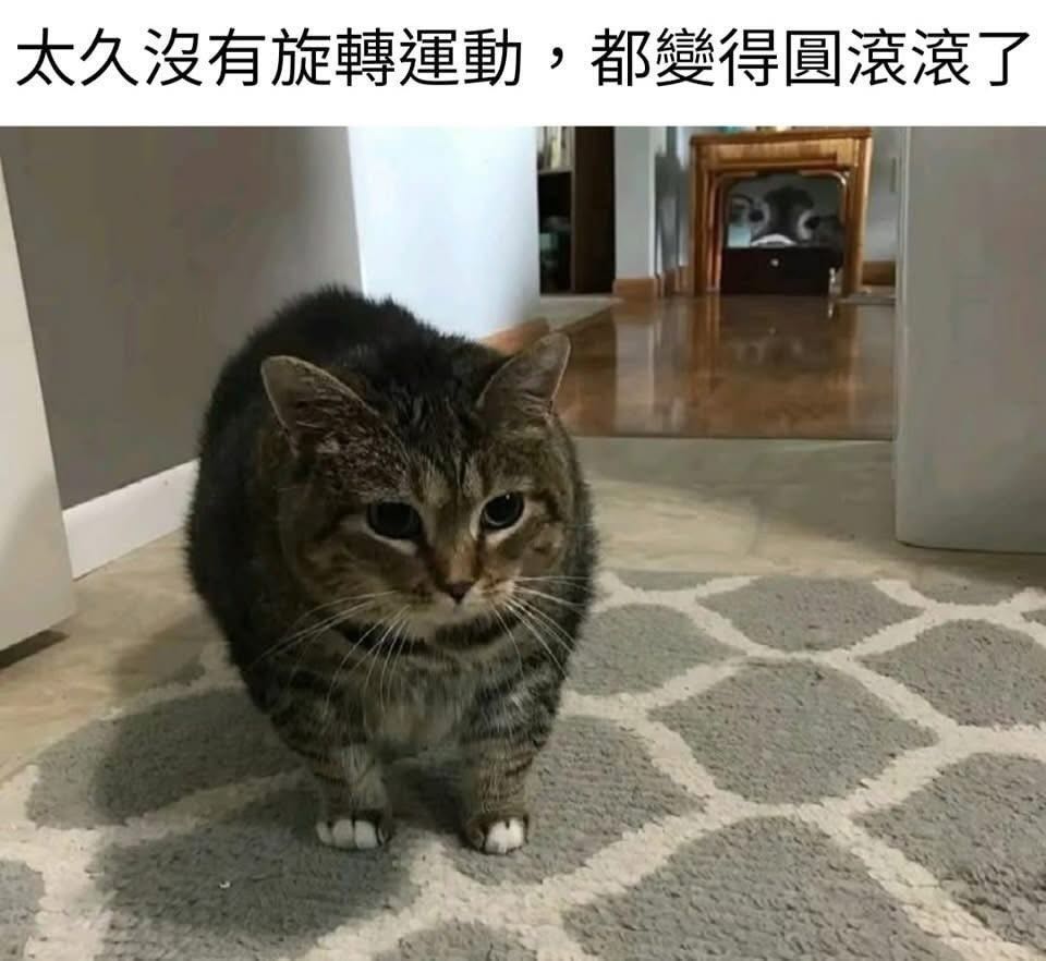 迷客夏黎明店早晚班工讀