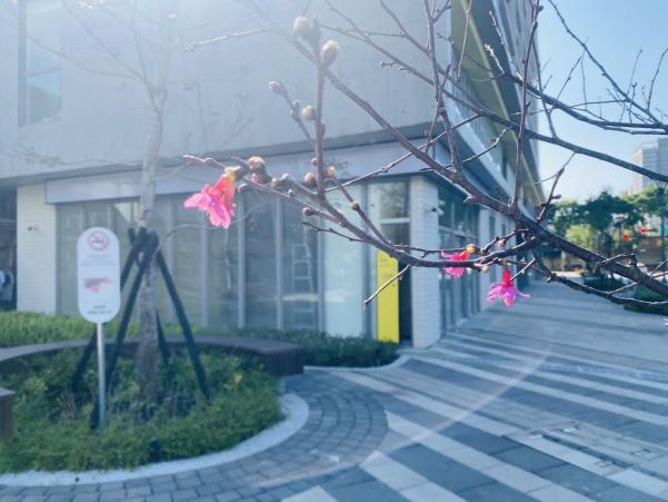 全科班行政助理老師
